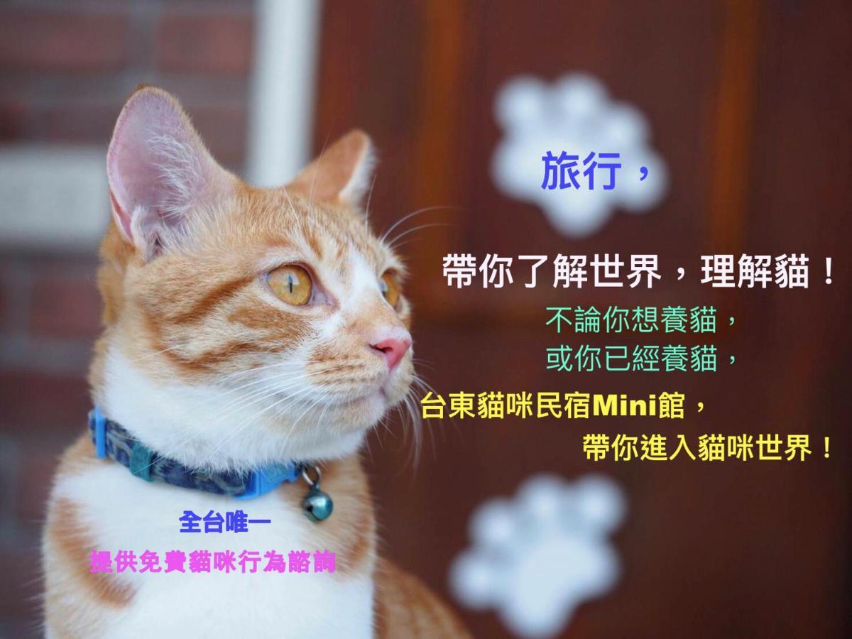 貓咪民宿mini館-中午即可入房 T'ai-tung Exterior foto